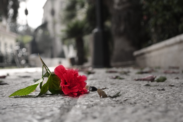 癌症,医学,思想武器