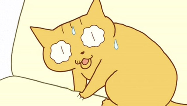 佝偻猫,妹纸,阿笨,小猫,大便,连队,吐槽,播出,海鸥食堂,配音