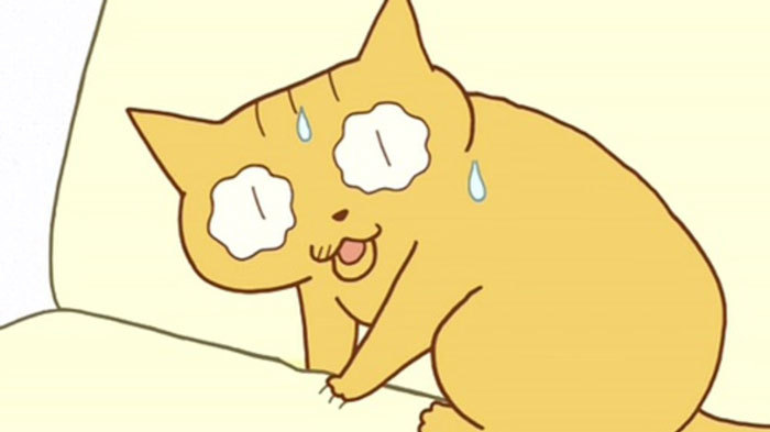 佝偻猫,妹纸,阿笨,小猫,大便,连队,吐槽,播出,海鸥食堂,配音