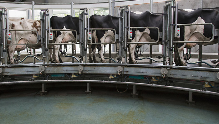 蒙牛乳业,现代牧业,雅士利,收购,上市公司