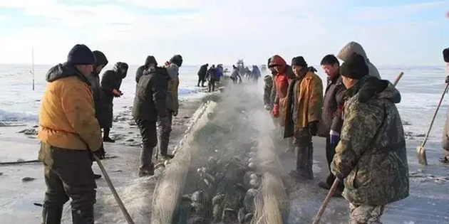 【网络媒体走转改】呼伦湖冬捕：趁着好天气，铆足劲、撒开网