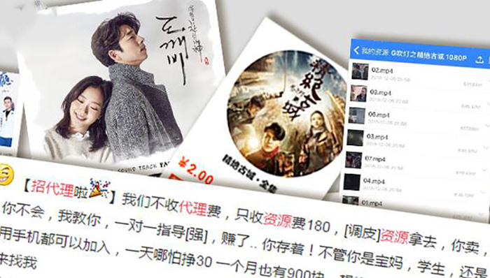 代理,卧底,乐视,群主,MD,高清视频,团队成员,影视产业,盗版技术,团队合力