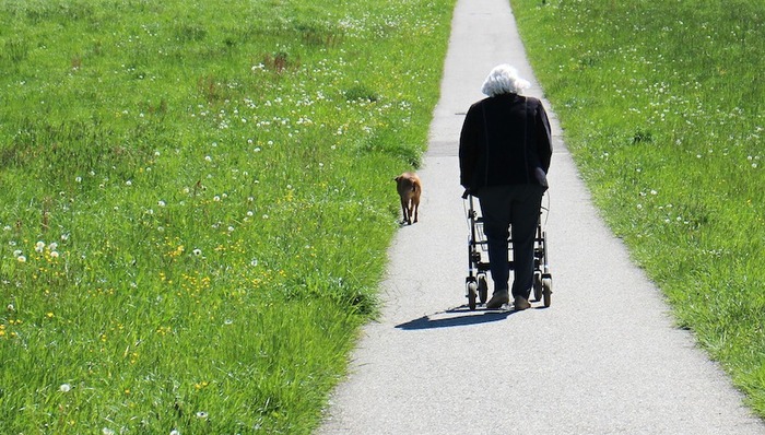 网络媒体走转改,上海,纯老家庭,100万,医养融合,康健街道社区卫生服务中心,养老院,徐东浩