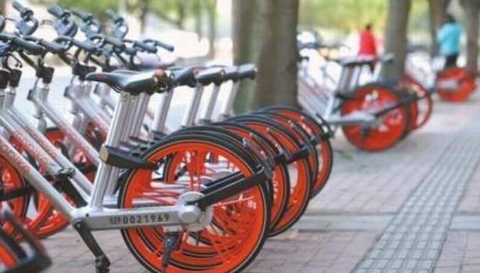 上海两会,委员,共享单车,规范,交通委,出台,指导意见,游闽键,高奕奕