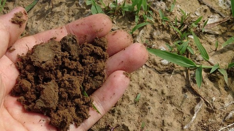 【上海两会】环保局：2017年将启动实施土壤污染防治行动计划