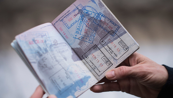 移民,护照