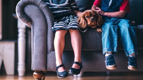 【上海两会】调查显示超8成婴幼儿家庭需托管服务，妇联建议完善公共托育服务体系