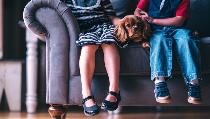 上海两会,一孩家庭,生育二孩,意愿,妇联,建议,公共托育服务体系,徐枫