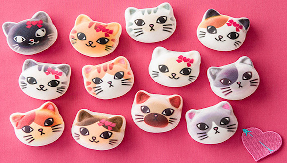 消费达人日志｜Felissimo情人节喵星人棉花糖 康师傅金汤系列方便面