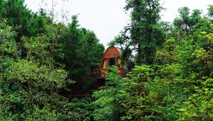 积木屋、水泥管、集装箱、房车……中国有个自由家营地把童话里的房子都放到黄山了