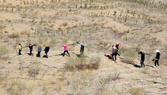 国家林业局,荒漠化,沙漠治理
