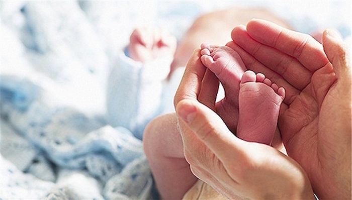 全面二孩,卫计委,出生人口