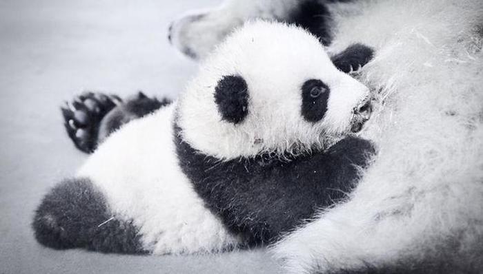 热点追踪,地方热点