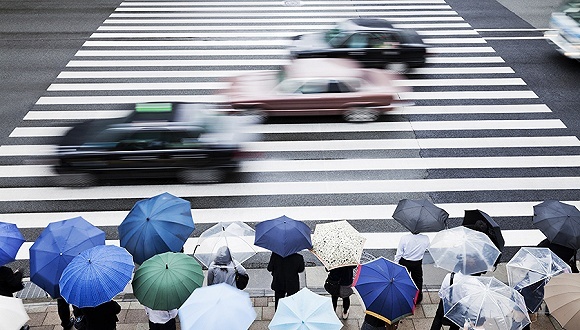 申请人,受理通知书,流程,复印件,布网,运管局,业务,格式,行驶证,网络预约出租汽车驾驶员证