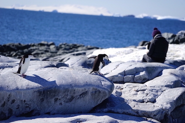 除夕夜，行李不下肩的中国人