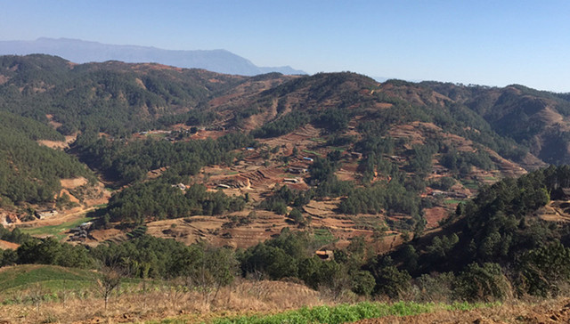 凉山,故乡,作家