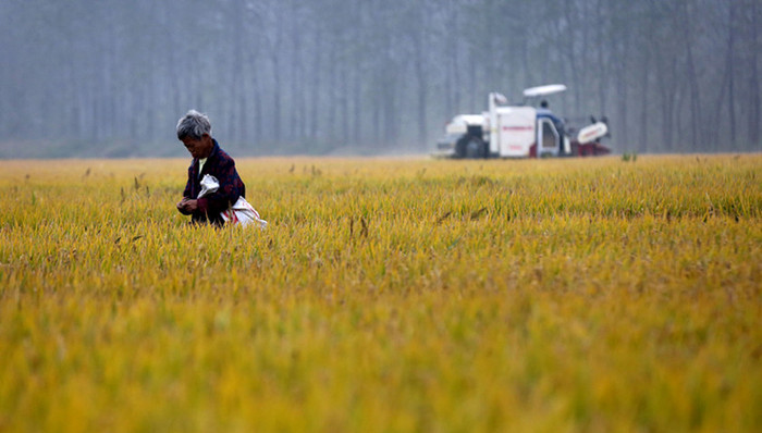 中农办,农村基建,资金
