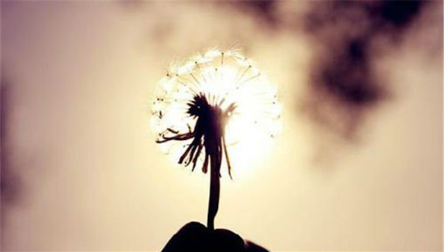 鸡汤,心灵鸡汤,性灵,沈从文的小说,玛丽居里,过度阐释,鸡年,鸡汤文,智商,智慧