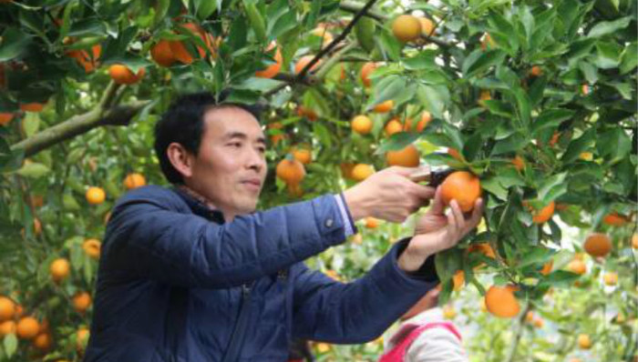 重庆农村电商的新年第一单