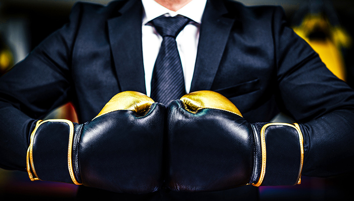 A股,上市公司,湘鄂情