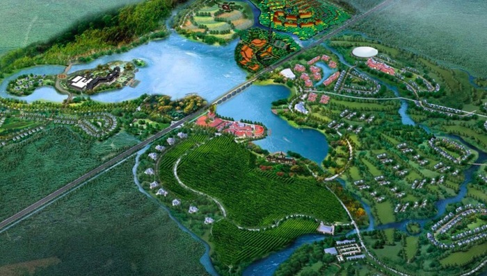 足球,俱乐部,体育产业,鲁能俱乐部