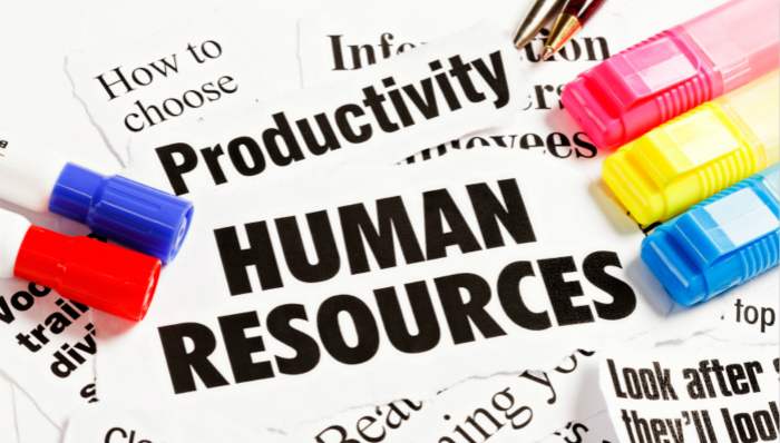 职业发展,报告大人,HR