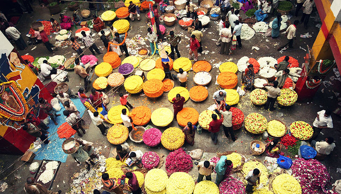 【标准排名】全球最具活力城市：班加罗尔位列第一 中国城市上海排名最先