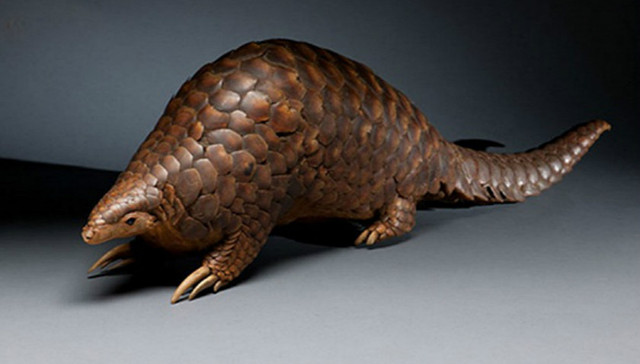 穿山甲,野生动物保护,产业链