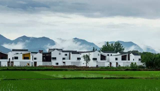 最美农村回迁房惊呆网友：简直住进画里