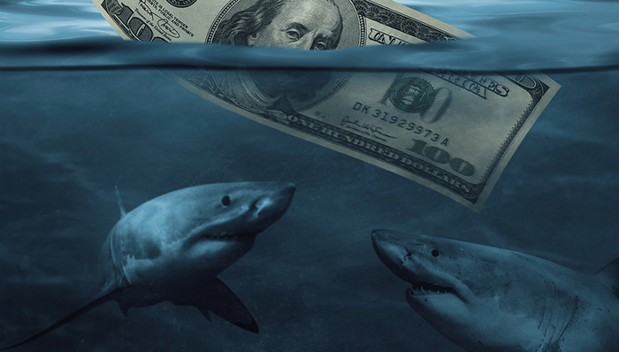 证监会,金融监管