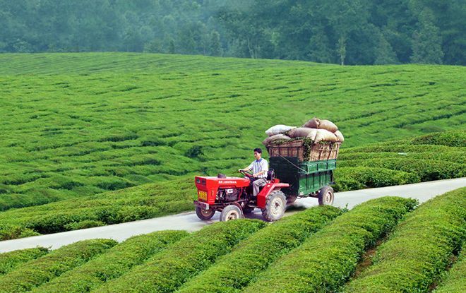 首次允许外来资本搞三产 农村土地市场化开闸