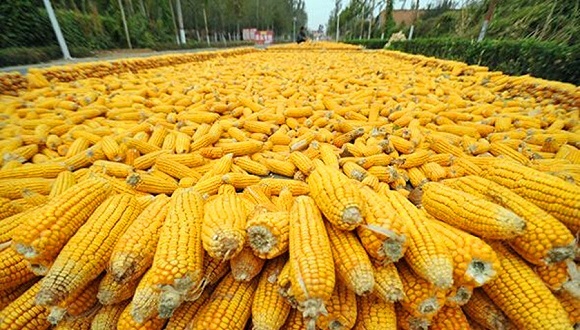 热点追踪,大案聚焦