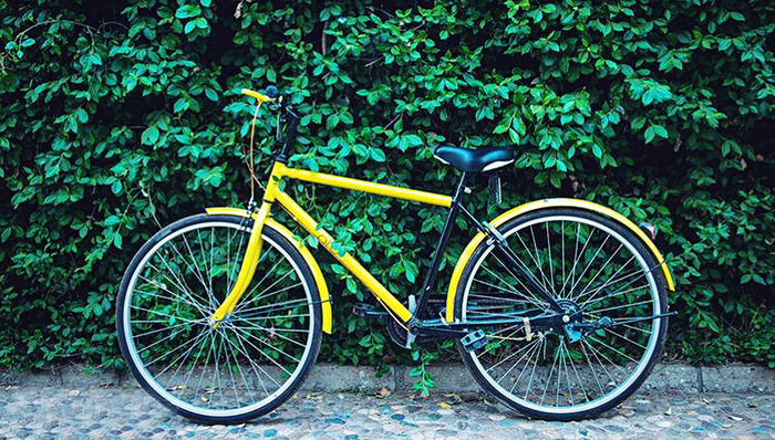 ofo,,谷歌,出租自行车