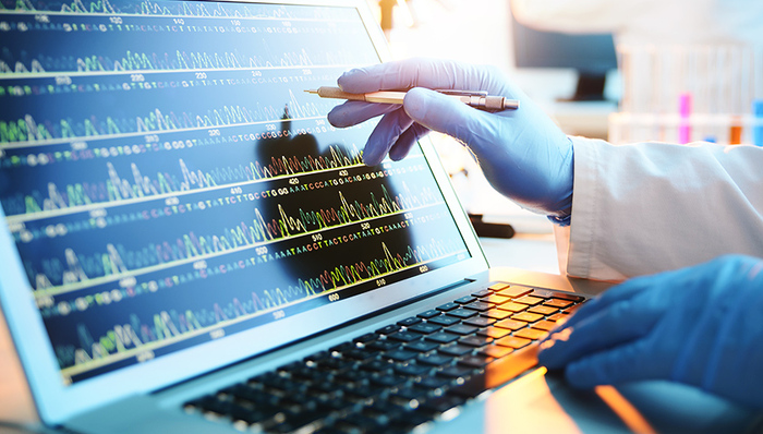 沈六斤,地户,DNA,死缓,检方,命案,富瑞,凶手,洗冤,裁判