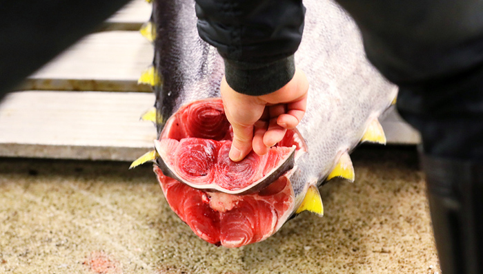 最大鱼市,东京,筑地