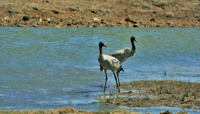 环境保护，自然保护区，生态保护红线