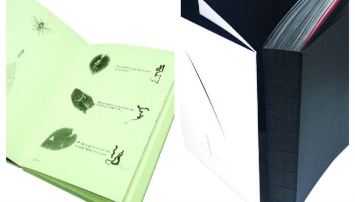 中国有两本书成为了2017年“世界最美的书”