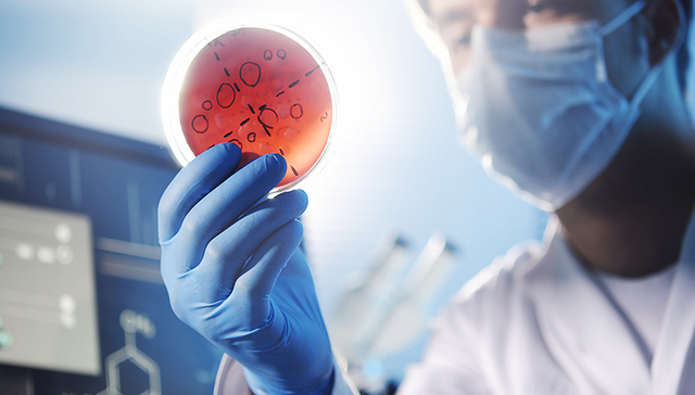 粘菌素,耐药基因