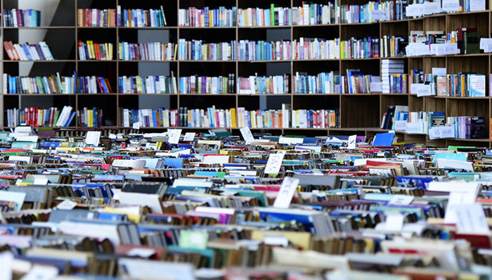 教育部,高校,改名