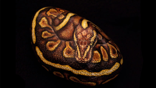 石头竟然这么可爱