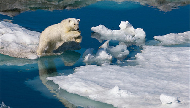 极地太美又太脆弱，再不保护就晚啦