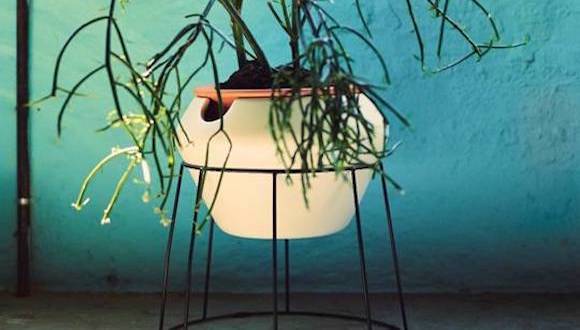 消费达人日志｜宜家PS系列2017的新品来了 星巴克Teavana茶具很有春日气息