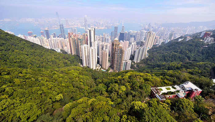 楼市,香港,地王