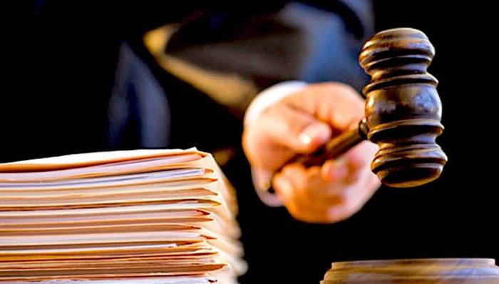 法官,速效救心丸,,骈体文,就职演说,穿山甲,绑架案,黑恶势力