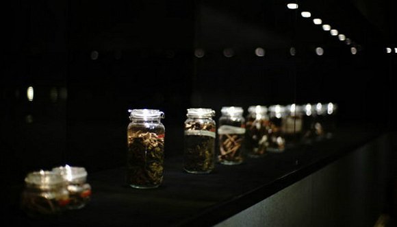 凌鲲,重庆九龙沉香博物馆,沉香