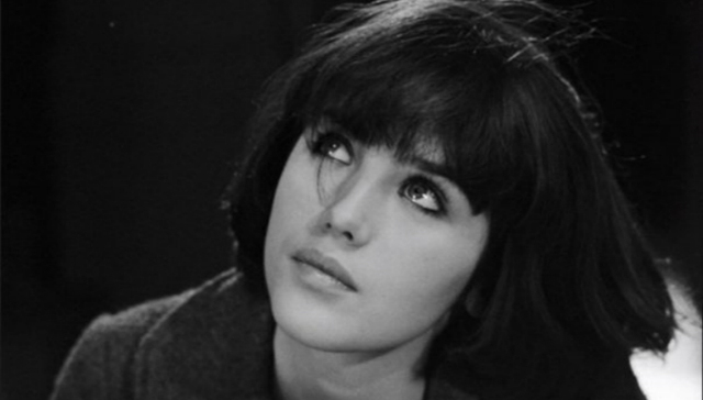 网红,法国美女,阿佳妮,苏菲·玛索