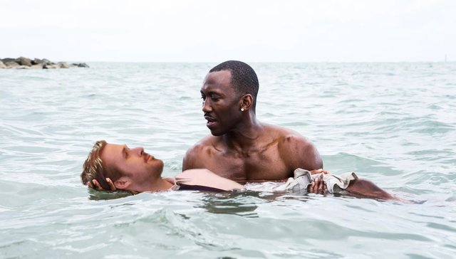 奥斯卡大乌龙，全世界都懵了