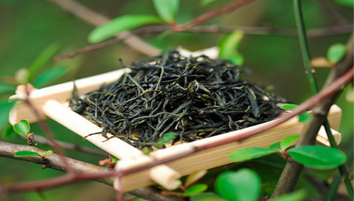 不夜侯,水厄,苦口师