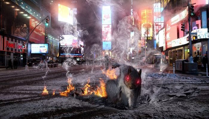 图片,P,松鼠,创意