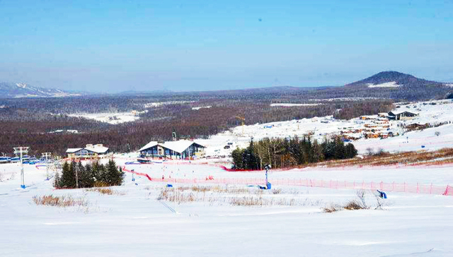 鲁能地产,百年住宅